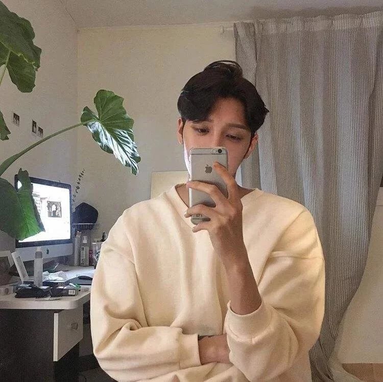 宁维爱环