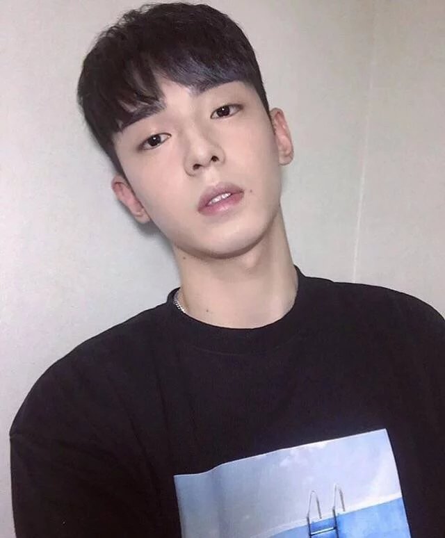 夏全真紫