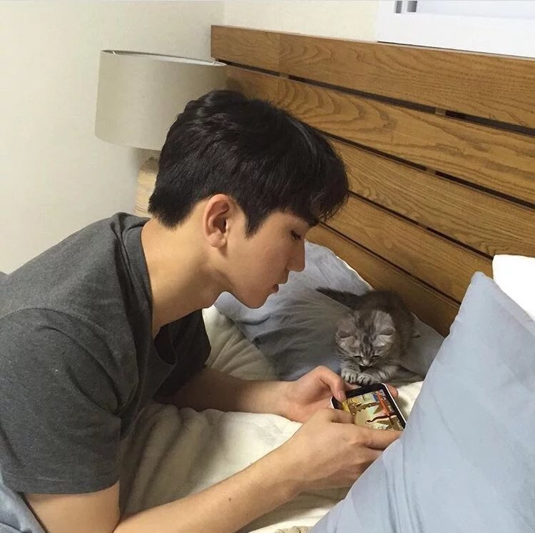 赖娇蝶豪