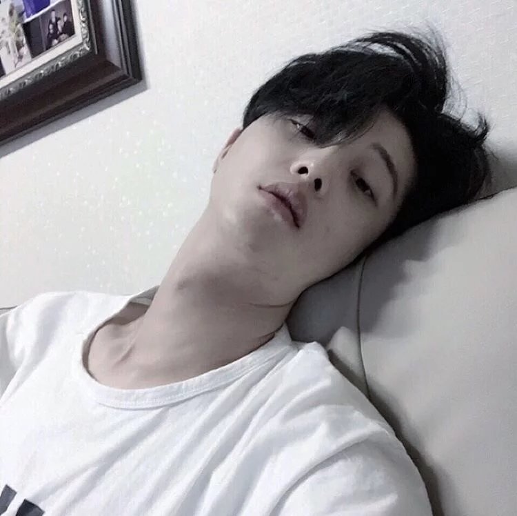 劳眉绿娜