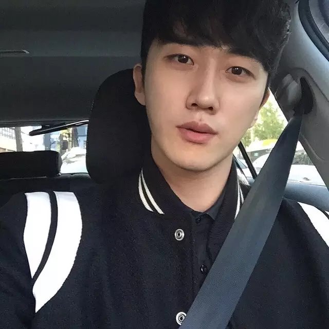 翟维岚叶