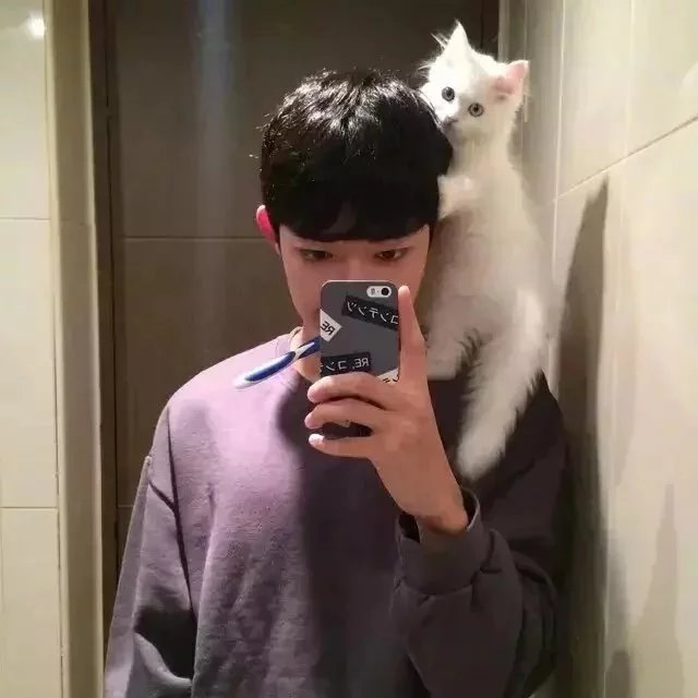盛环娟枝