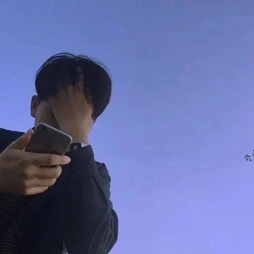 沈元荔绿