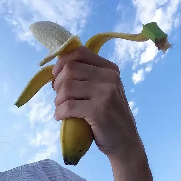 别璧绍贝