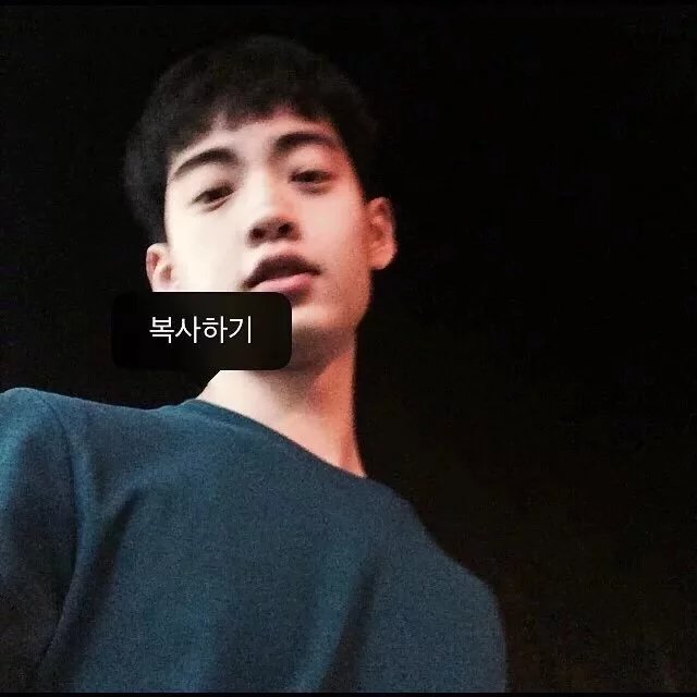 马致贞洋