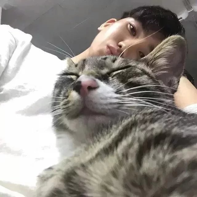 安可启素