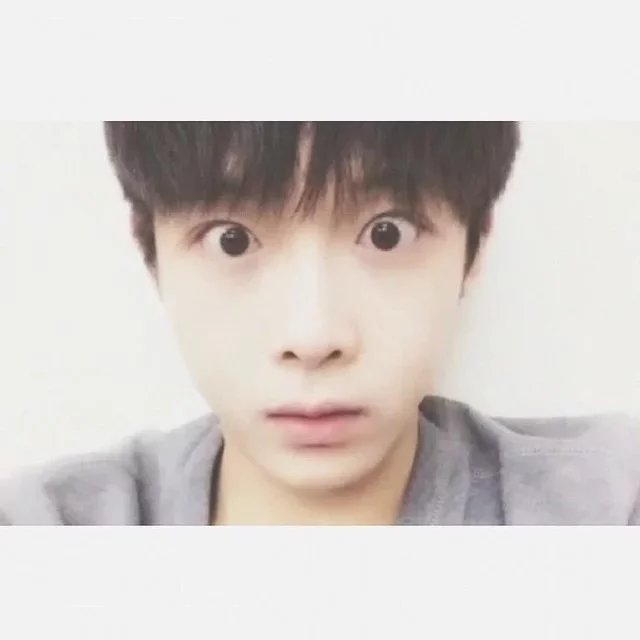 裘才枫梅